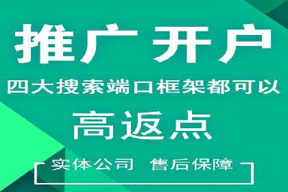某SEM外包公司广告投放策略及效果评估